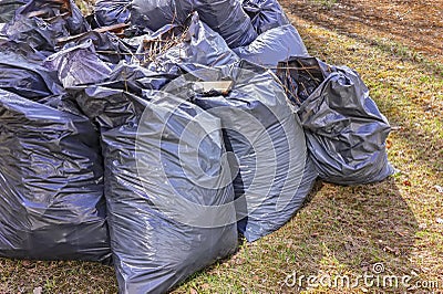 Leaf removal. Black plastic bags with last year's dry leaves on the lawn in the park Stock Photo