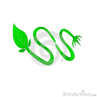 Leaf and Root Vector Vector Illustration