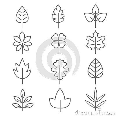Leaf thin line vector icons Vector Illustration