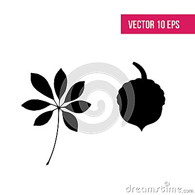 Leaf vector icon. Leaf isolated on white. 10 eps. foliage Vector Illustration