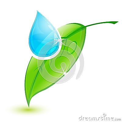 Leaf with water drop Vector Illustration