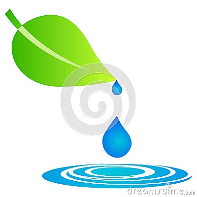 Leaf with water drops Vector Illustration