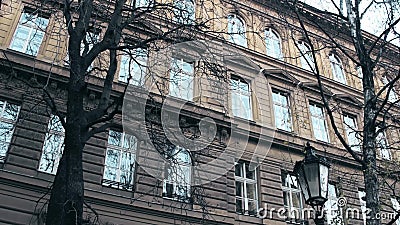 Leafless trees against the classical european building, low angle shot Stock Photo