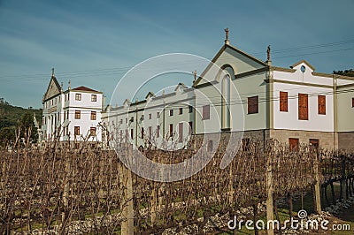 Leafless vine trunks with the Salton Winery Editorial Stock Photo