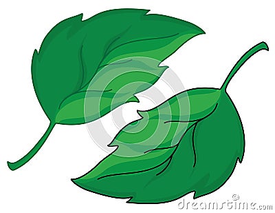 Leafs Vector Illustration