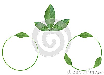 Leafs Vector Illustration