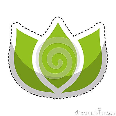 Leafs plant isolated icon Vector Illustration