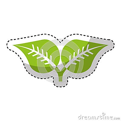 Leafs plant isolated icon Vector Illustration