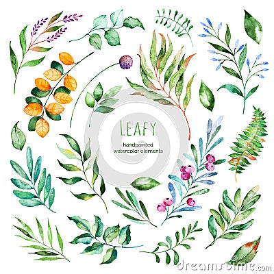 Leafy collection.22 Handpainted watercolor floral elements. Stock Photo