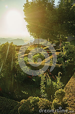 Leafy edge and bushes in a flowered garden on sundown Stock Photo