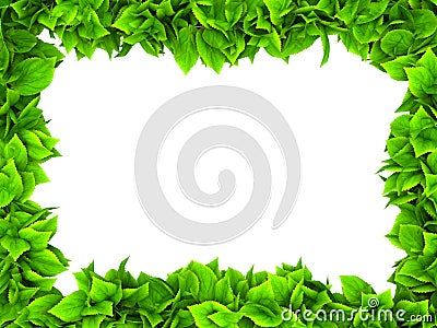 Leafy green border Stock Photo