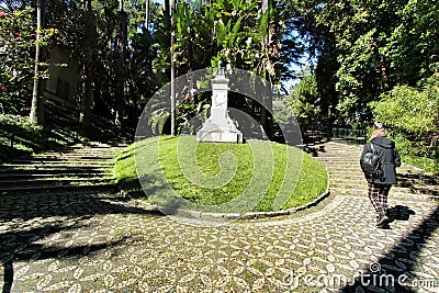 Leafy and green gardens at the Botanical Garden of Lisbon Editorial Stock Photo