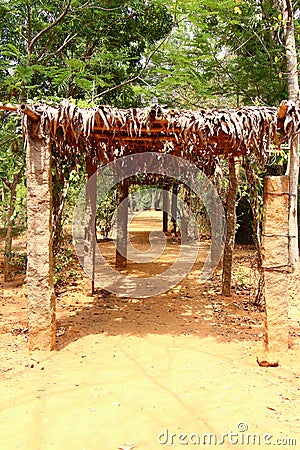 Leafy tunnel. Auroville Stock Photo