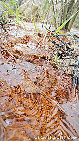 leaking water flowing into the muddy soil. Stock Photo