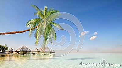 Palm island with bungalows and leaning palms 3d render Stock Photo