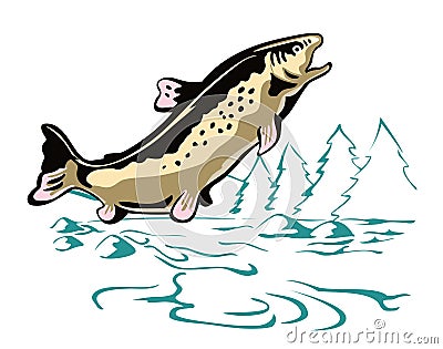 Leaping Brown Trout Stock Photo