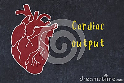 Learning cardio system concept. Chalk drawing of human heart and inscription Cardiac output Stock Photo