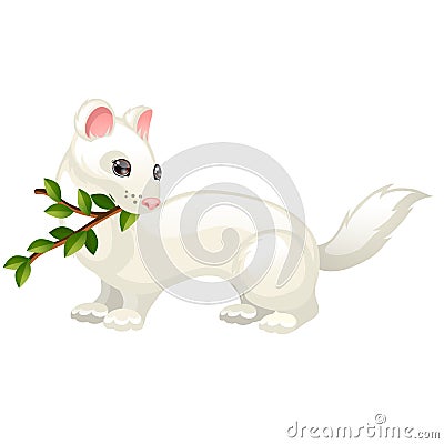 Least Weasel or Mustela nivalis and twig with leaves isolated on white background. Vector cartoon close-up illustration. Vector Illustration