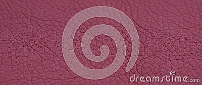 Leather burgundy background. background with artificial gray leather. burgundy texture Stock Photo
