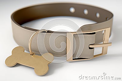 Leather Collar With Tag Stock Photo