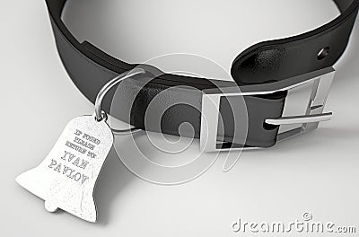 Leather Collar With Tag Stock Photo
