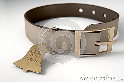 Leather Collar With Tag Stock Photo