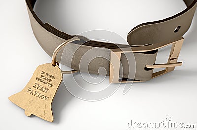 Leather Collar With Tag Stock Photo