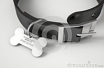 Leather Collar With Tag Stock Photo