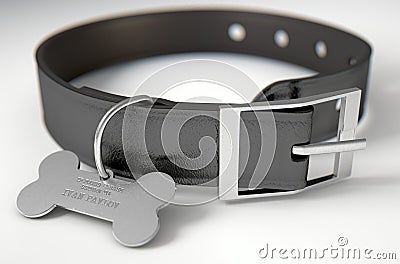 Leather Collar With Tag Stock Photo