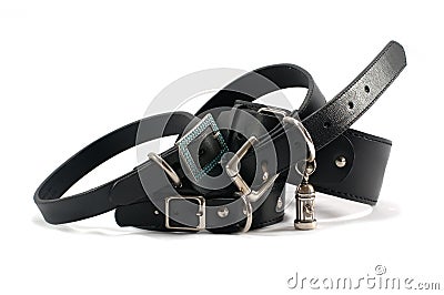 Leather dog collars on white background Stock Photo