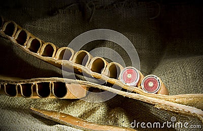 Leather shotgun cartridge belt Stock Photo