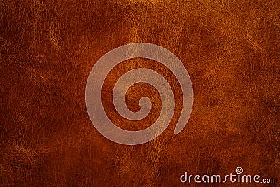 Leather texture Stock Photo