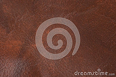 Leather texture for backgrounds Stock Photo