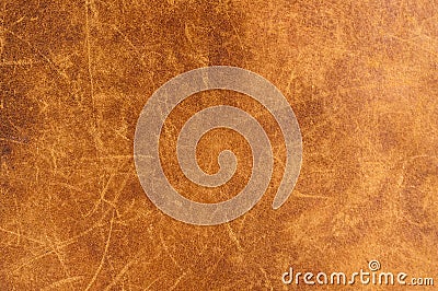 Leather Texture. Stock Photo