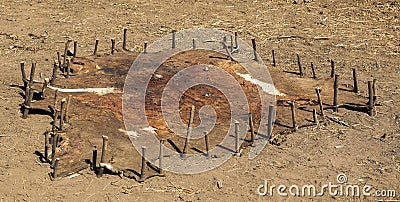 Leather treatment. Omorato. Ethiopia. Africa. Stock Photo