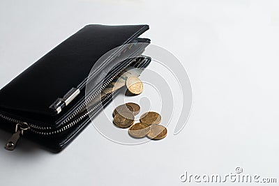 Wallet with coins, wallet with money, Full Wallet With Bills And Stock Photo