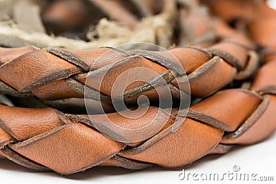 Leather whip isolated over white background closeup macro Stock Photo