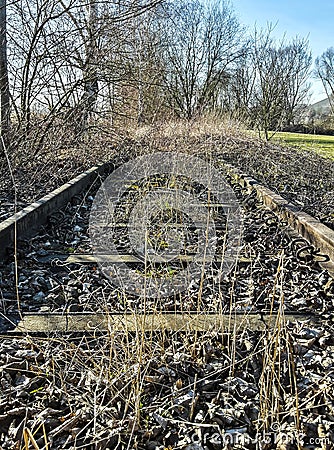 Leave old rusted railway line with grass inside Editorial Stock Photo