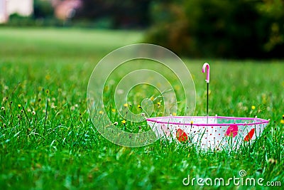 Leaved child umbrella on green grass Stock Photo