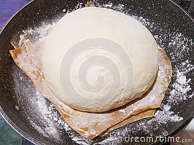 Leavened bread dough in tray with baking paper Stock Photo