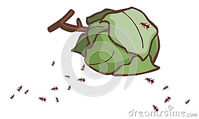 Leaves ant nests Vector Illustration