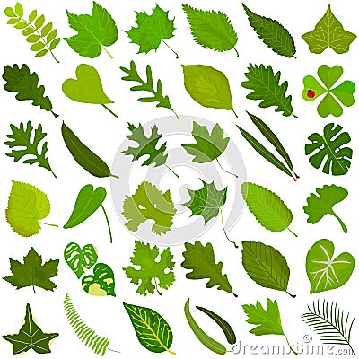 Hand drawn Summer green leaf, colorful illustration vector of green leaves doodle elements Cartoon Illustration