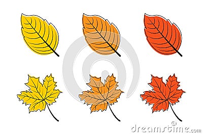 Leaves. Autumn leaf vector icons. Leaves maple. Leaf different color. Autumn leaves maple. Vector illustration Vector Illustration