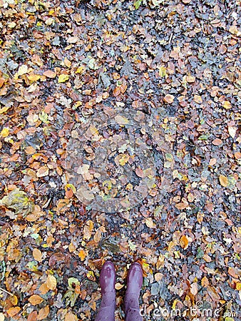 Leaves autumn walks wellies Stock Photo