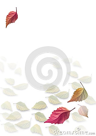 Leaves_background 4 Stock Photo