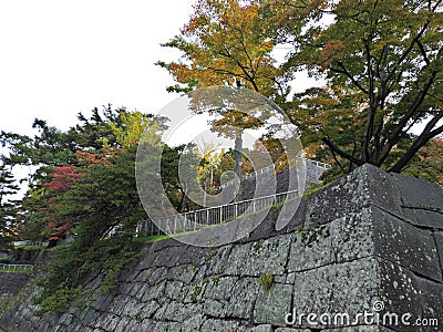 Leaves color change at Morioka Castle Ruins Park. Stock Photo