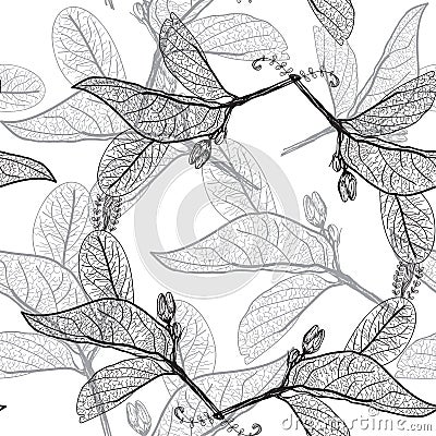 Leaves contours on a white background. floral seamless pattern, Vector Illustration