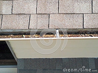 Leaves and debri in typical home at roof Stock Photo