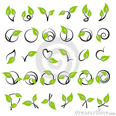 Leaves. Elements for design. Vector Illustration