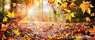 Leaves Falling In Defocused Autumn Forest Stock Photo